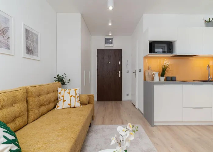 Przytulny Apartament Prestige Kawalerka W Centrum Lodzi Nowy